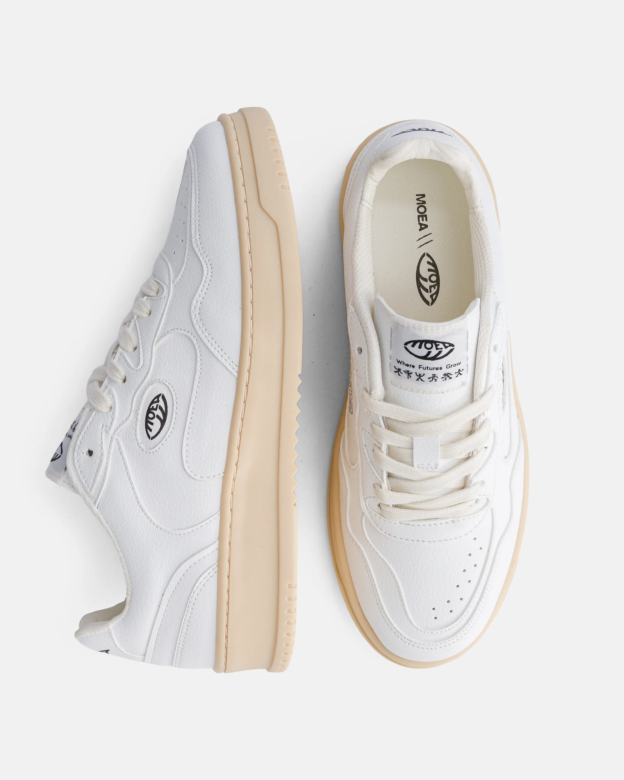 Canyon / Full White / Corn - Image 2