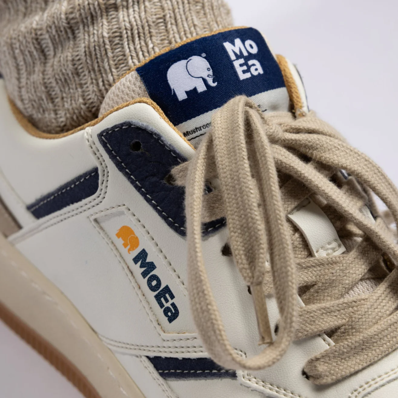 GEN1 - Trendsplant x MoEa - Image 4