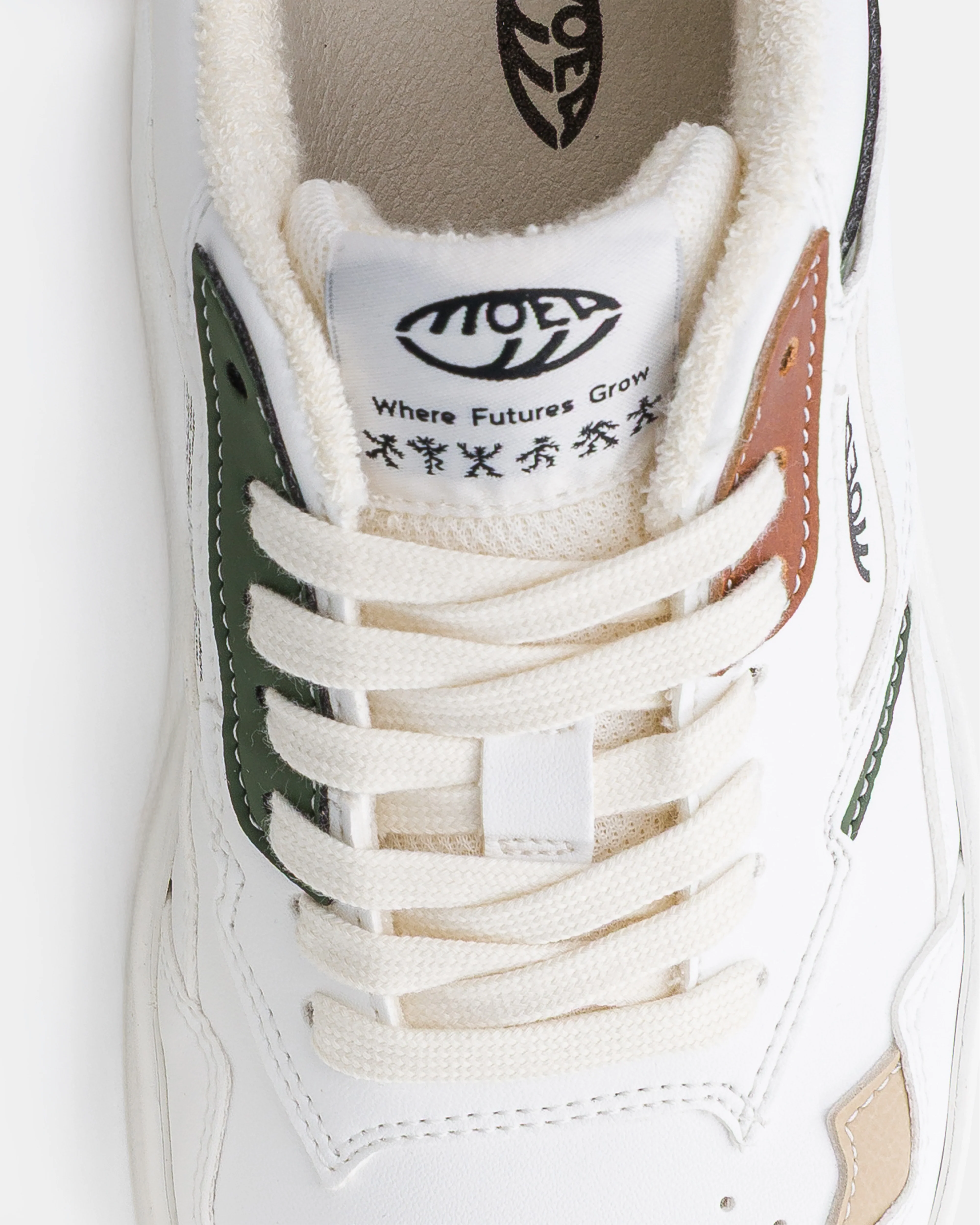 Origin / All In Evergreen - Image 3